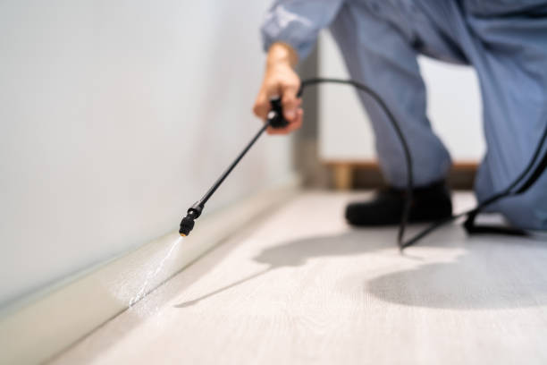 Licensed Pest Control service in Osage, IA - Show Me Pest Control